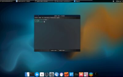 Windows y Linux ¿Cuáles son las diferencias?